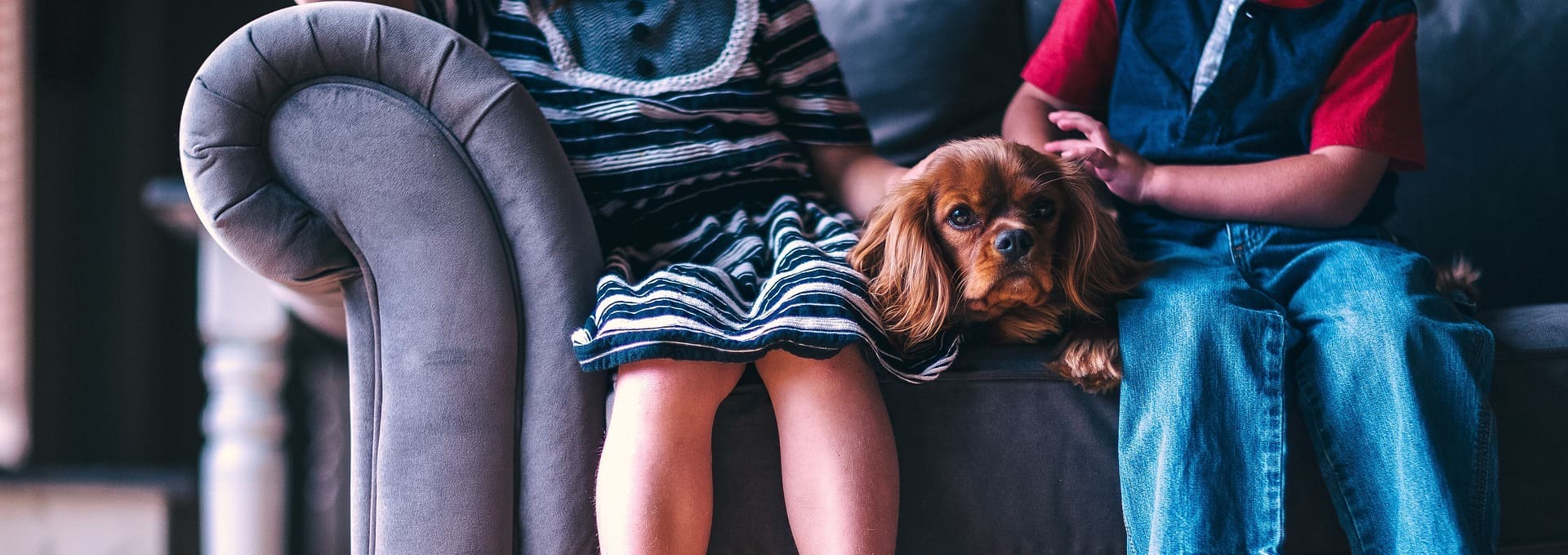 Convivere con gli animali